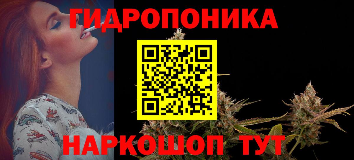 Бошки марихуана тримм  Каннабис планчик  Вход с VPN  Ижевск 